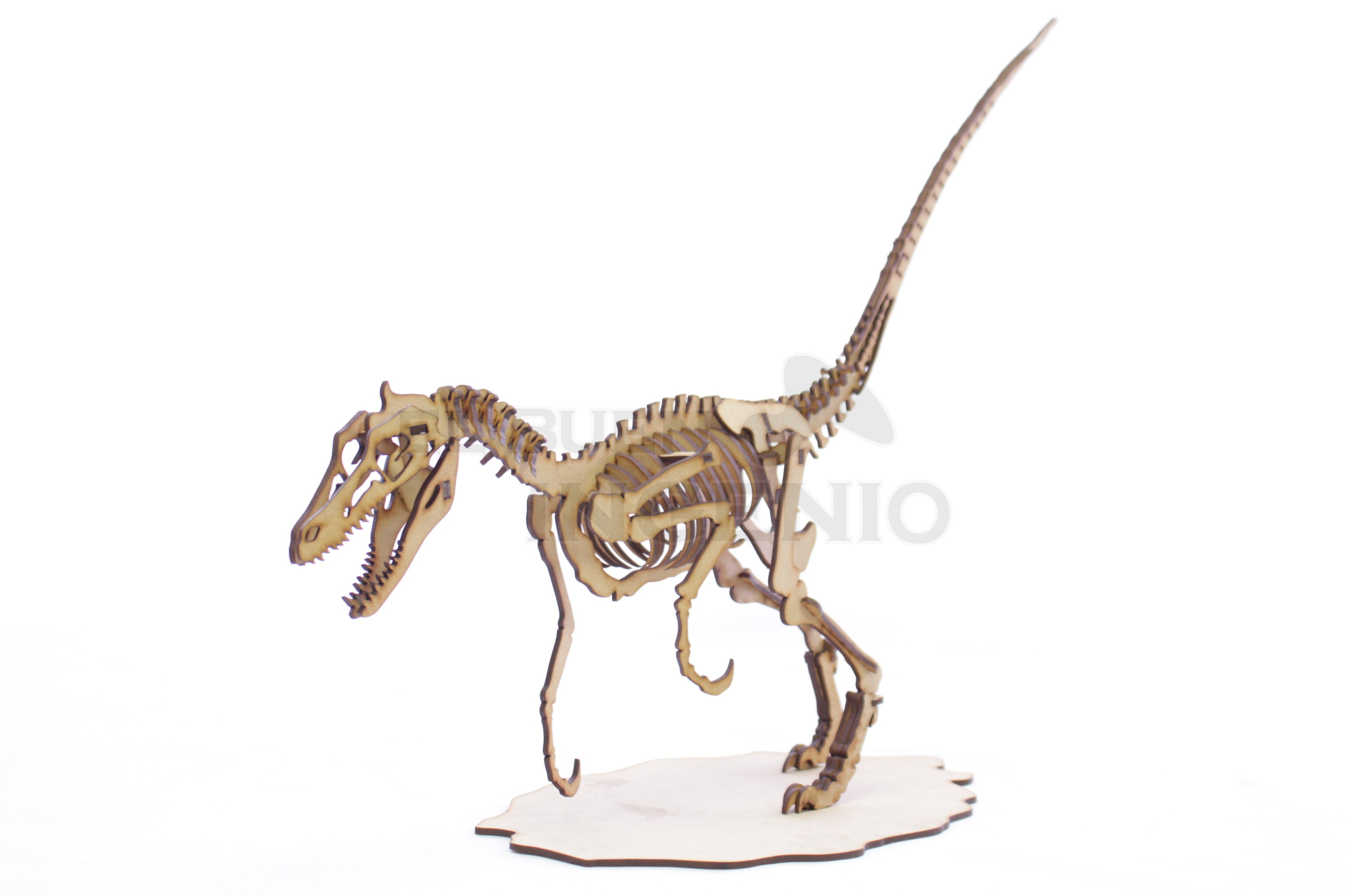 Rompecabezas De Dinosaurio Velociraptor